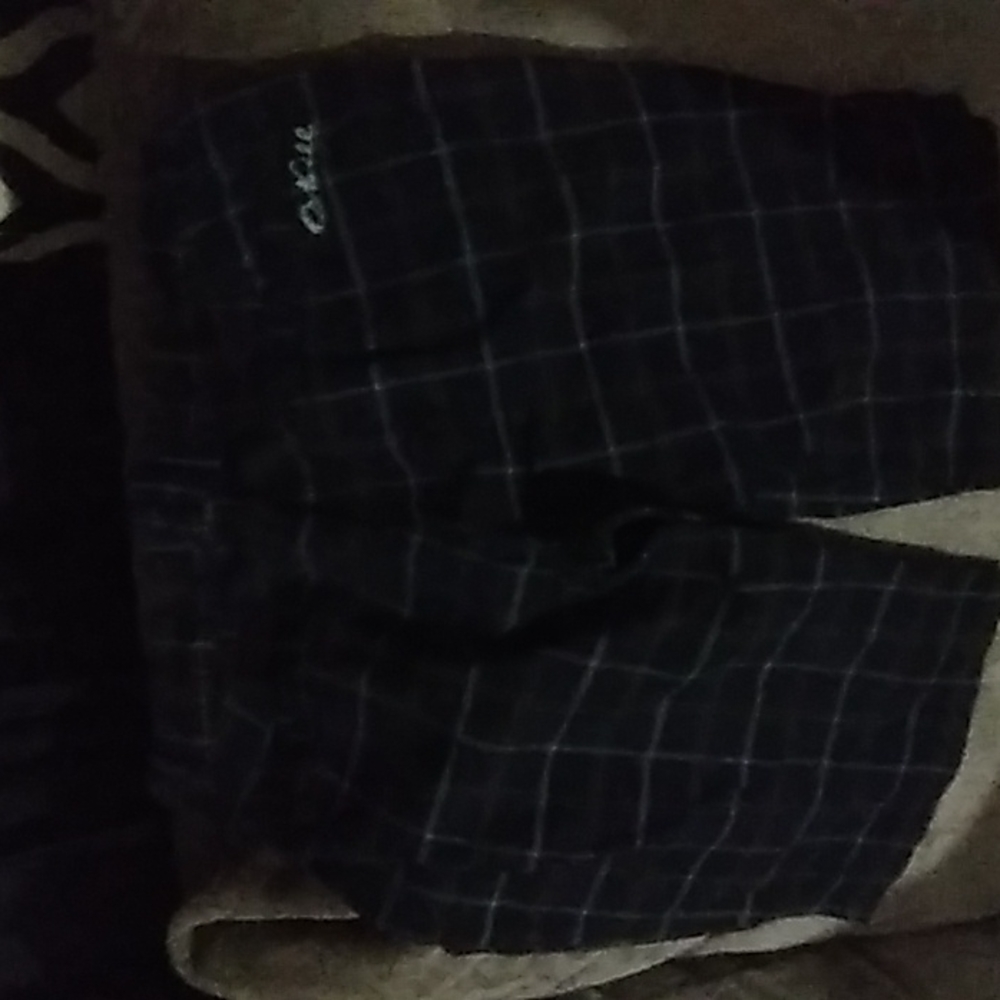 Shorts - Picture 2 of 2